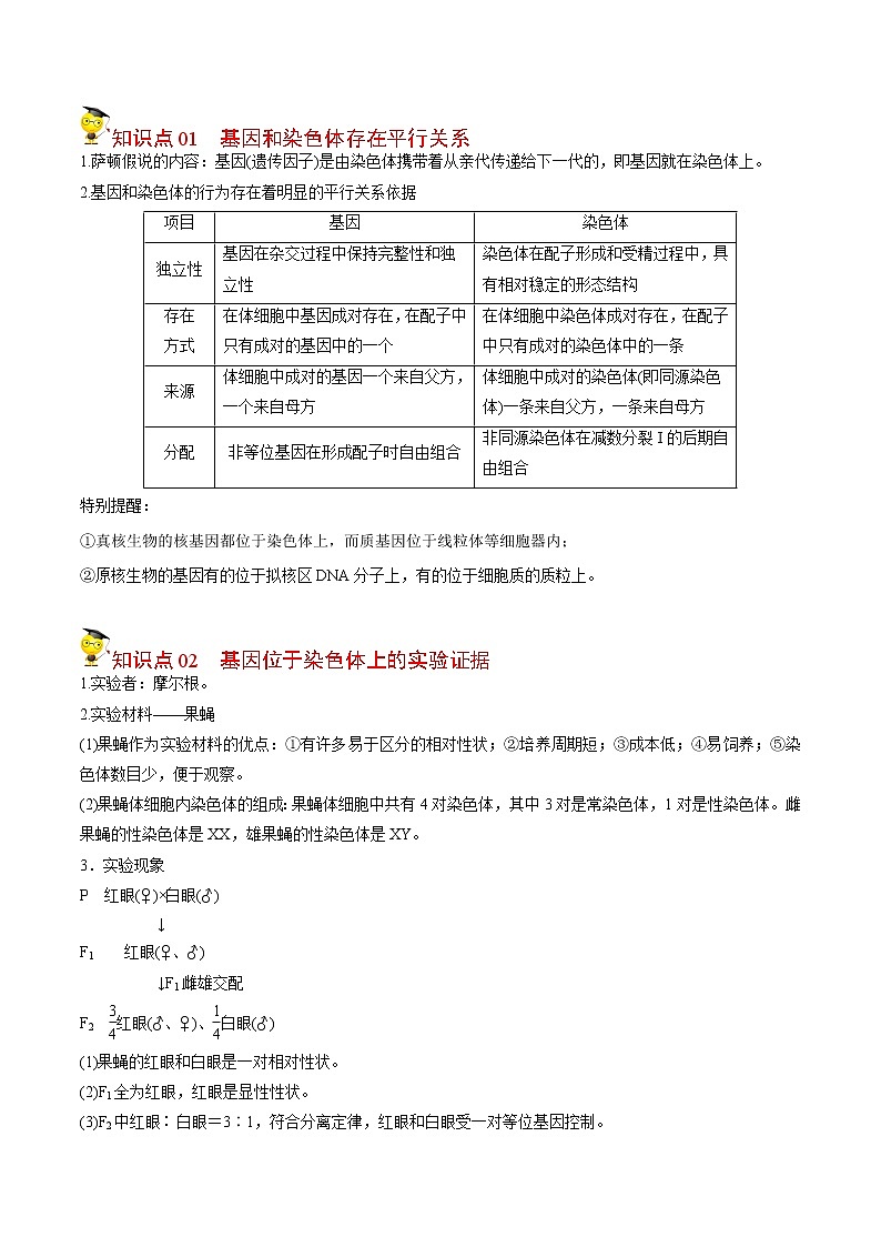 2.2 基因在染色体上（学生版）-高一生物同步精品讲义（人教2019必修2）第3页