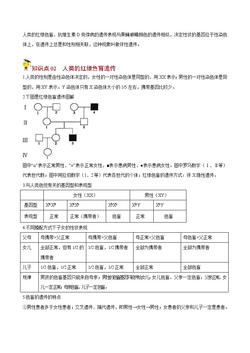 2.3 伴性遗传（学生版）-高一生物同步精品讲义（人教2019必修2）03