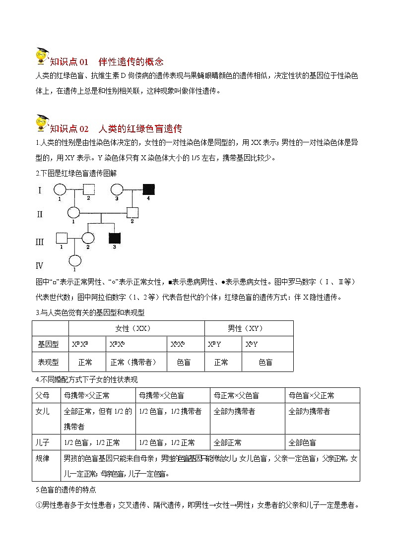2.3 伴性遗传（教师版）-高一生物同步精品讲义（人教2019必修2）03