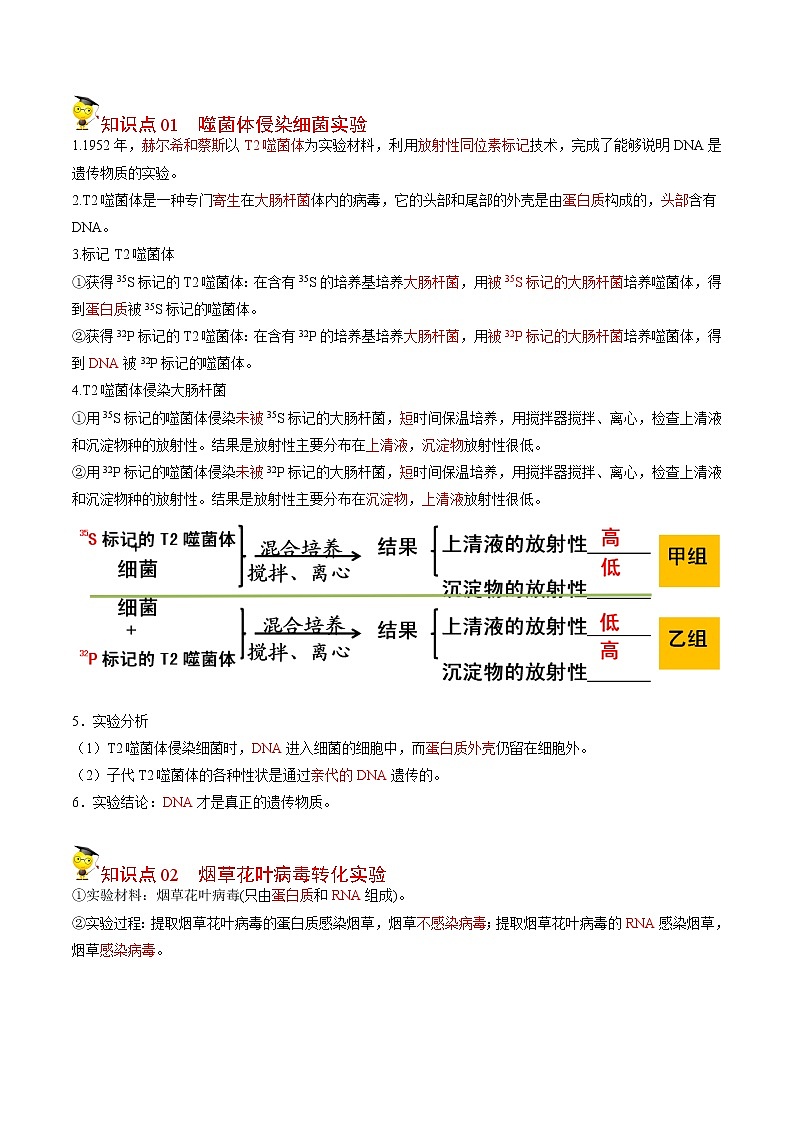 3.1 DNA是主要的遗传物质（第2课时）（学生版）-高一生物同步精品讲义（人教2019必修2）03