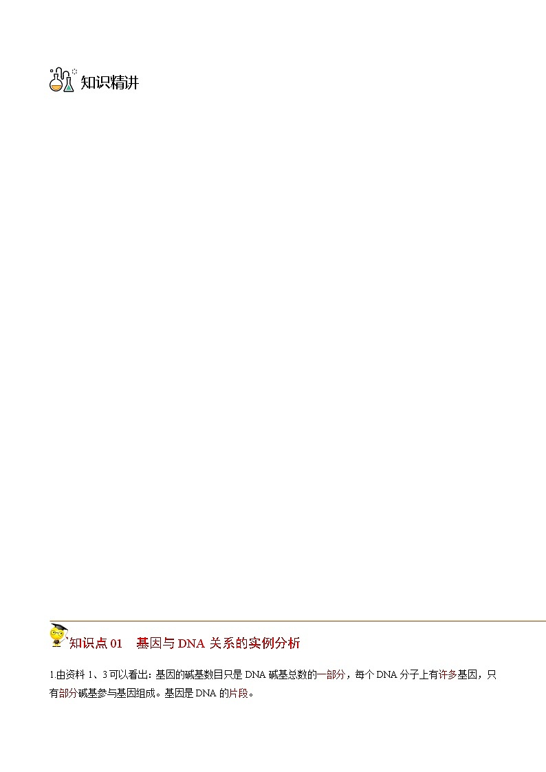 3.4 基因通常是有遗传效应的DNA片段（教师版）-高一生物同步精品讲义（人教2019必修2）第2页