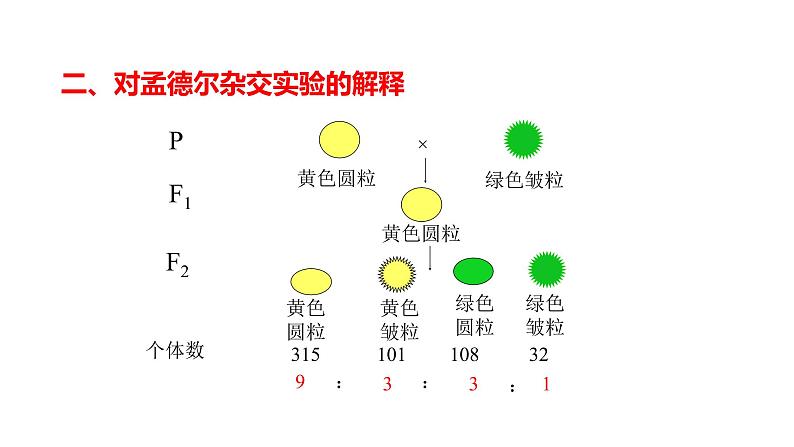 配套新教材-高中生物学-RJ-必修2第1章- 第2节课件PPT第8页