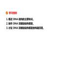 配套新教材-高中生物學-RJ-必修2第3章- 第2節(jié)課件PPT