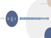 配套新教材-高中生物學-RJ-必修2第3章- 第4節(jié)課件PPT