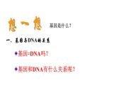 配套新教材-高中生物學-RJ-必修2第3章- 第4節(jié)課件PPT