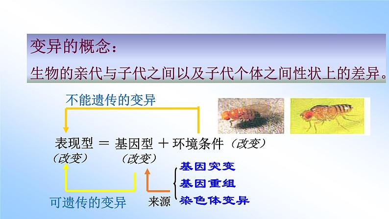 配套新教材-高中生物学-RJ-必修2第5章- 第1节课件PPT第3页