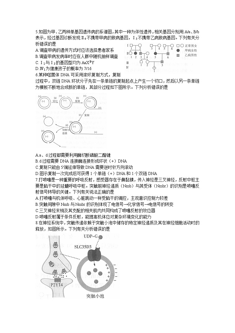 山东省齐鲁名校2023届高三3月大联考丨生物试题及答案02