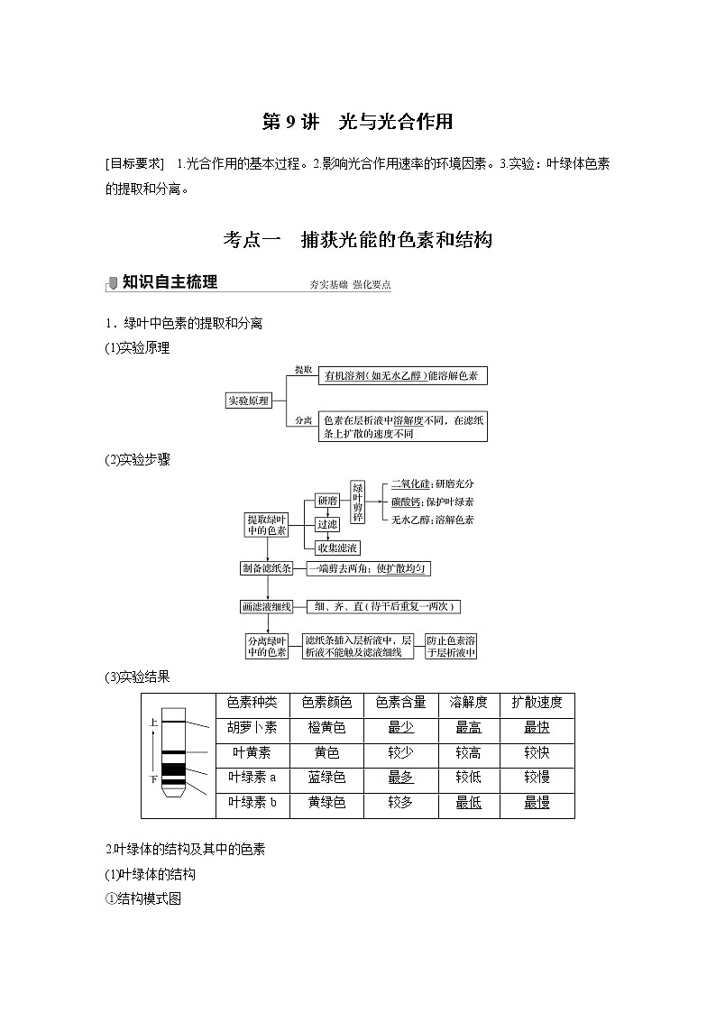 高中生物高考2022年高考生物一轮复习 第3单元 第9讲　光与光合作用第1页