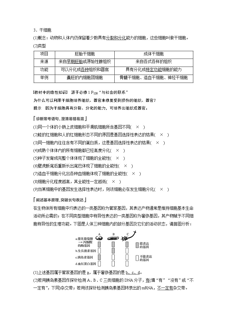 高中生物高考2022年高考生物一轮复习 第4单元 第13讲　细胞的分化、衰老、凋亡与癌变第2页