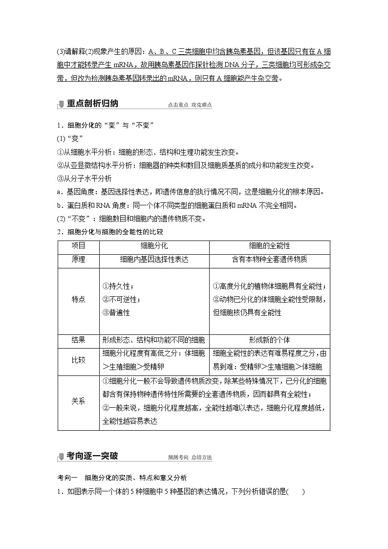 高中生物高考2022年高考生物一轮复习 第4单元 第13讲　细胞的分化、衰老、凋亡与癌变第3页