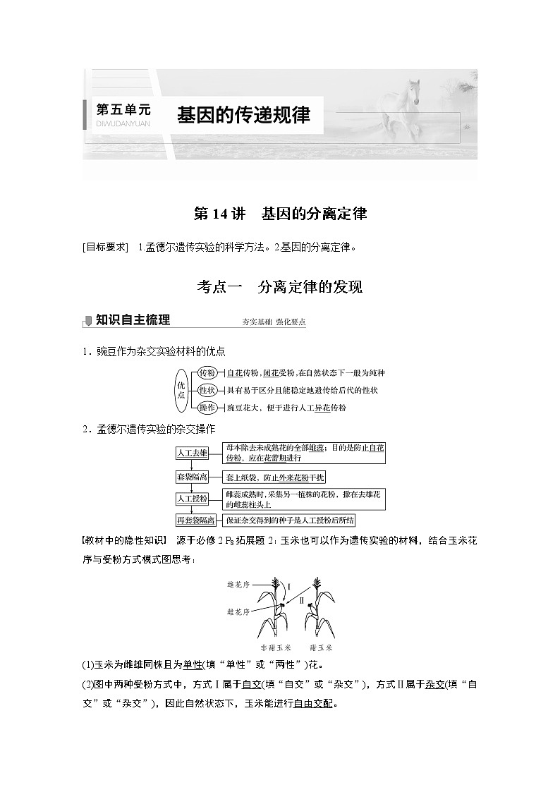 高中生物高考2022年高考生物一轮复习 第5单元 第14讲　基因的分离定律第1页