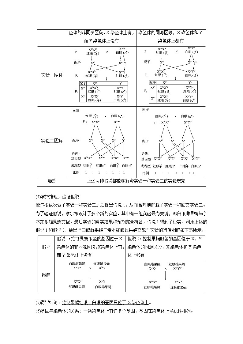 高中生物高考2022年高考生物一轮复习 第5单元 第16讲　基因在染色体上、伴性遗传和人类遗传病 试卷02