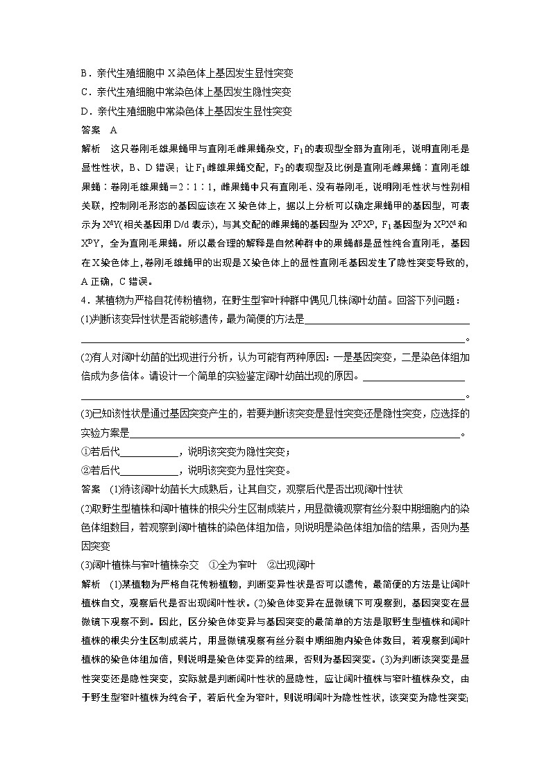 高中生物高考2022年高考生物一轮复习 第7单元 强化练13　生物变异类型的判断第2页