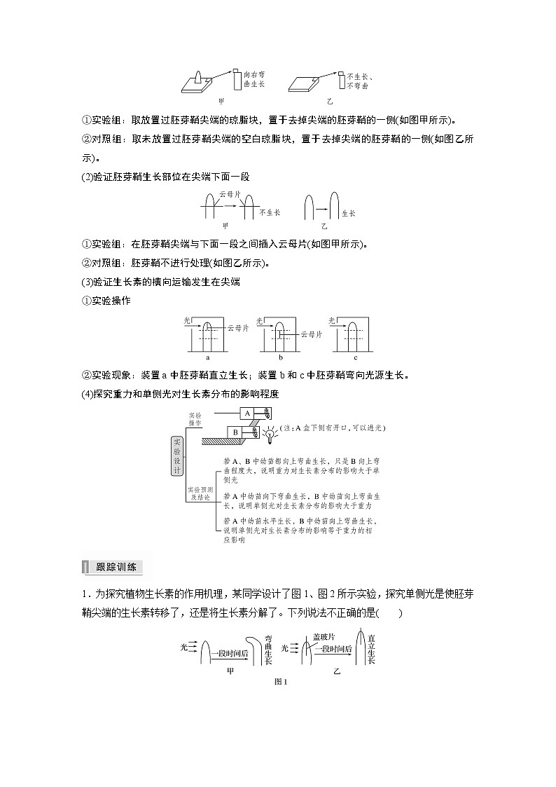 高中生物高考2022年高考生物一轮复习 第8单元 热点题型九   植物激素调节的相关实验探究第2页