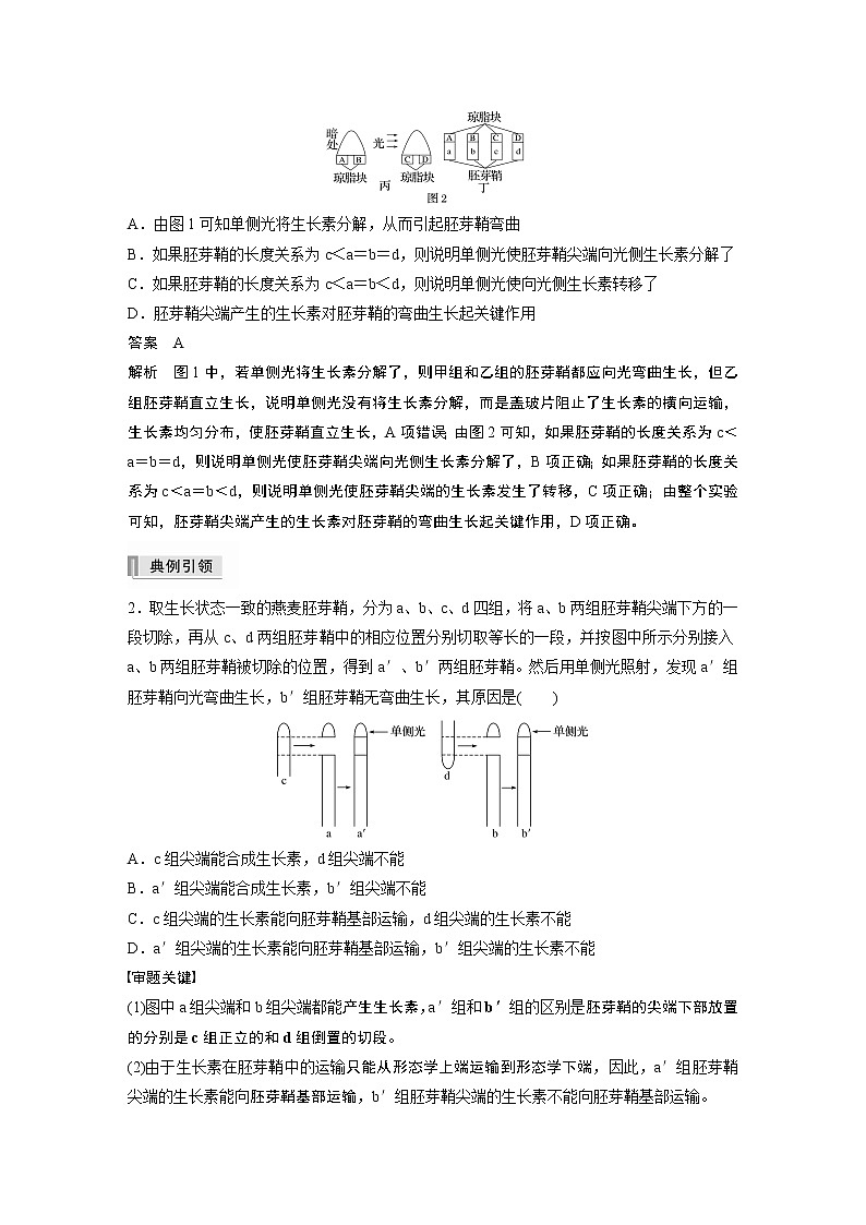 高中生物高考2022年高考生物一轮复习 第8单元 热点题型九   植物激素调节的相关实验探究第3页
