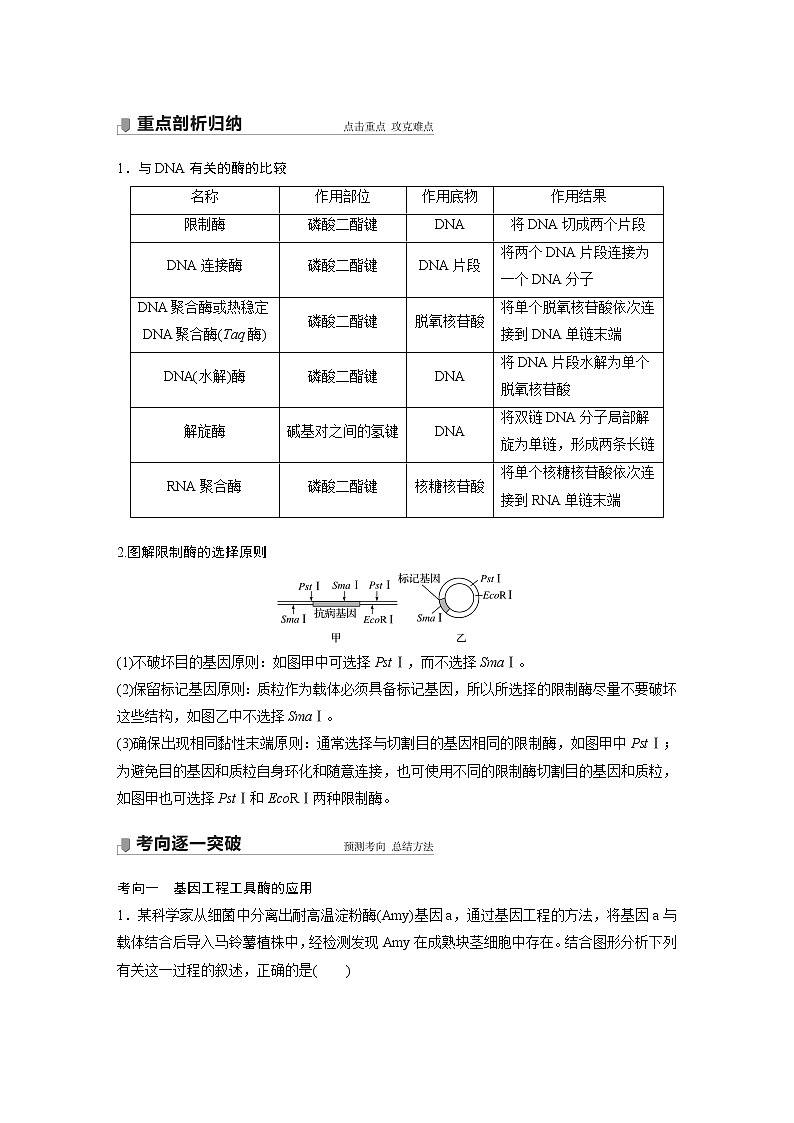 高中生物高考2022年高考生物一轮复习 第10单元 第33讲　基因工程第3页