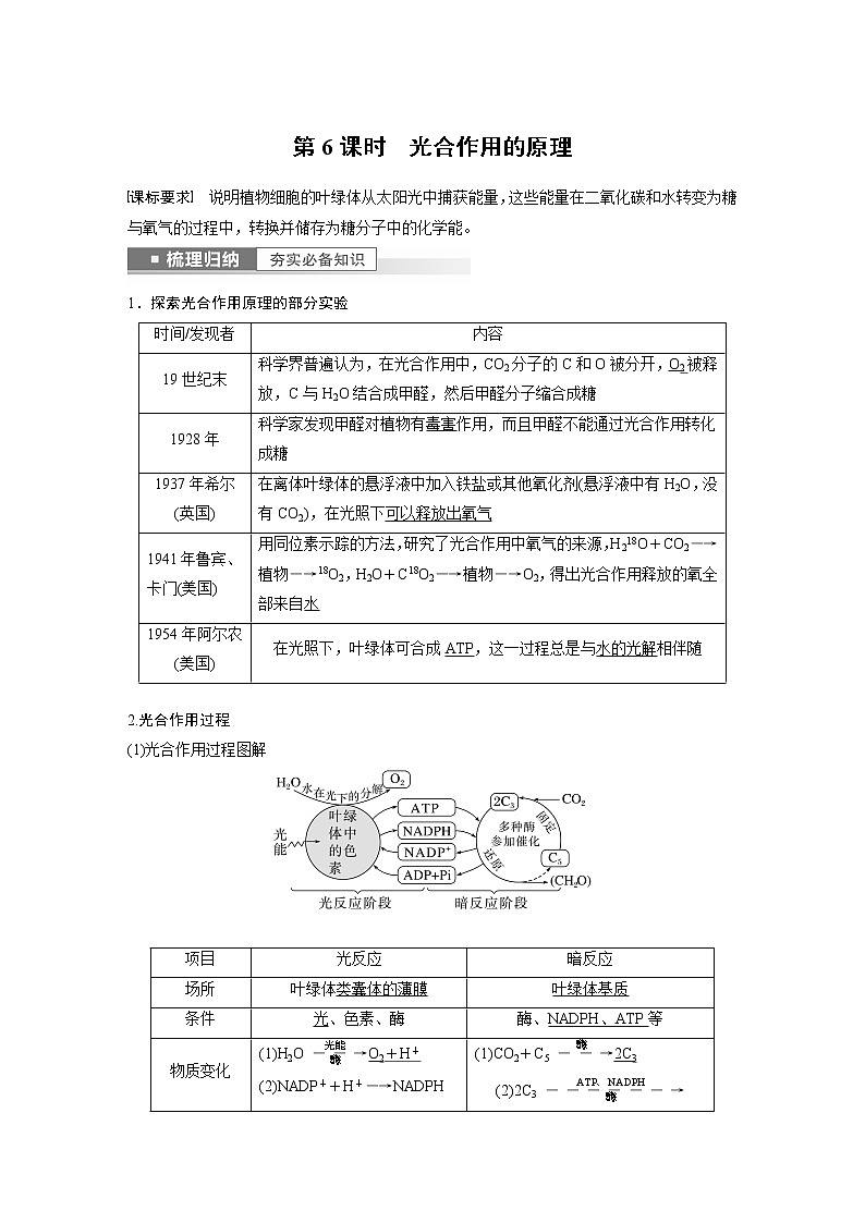 高中生物高考2023年高考生物一轮复习（新人教新高考） 第3单元 第6课时　光合作用的原理 试卷01