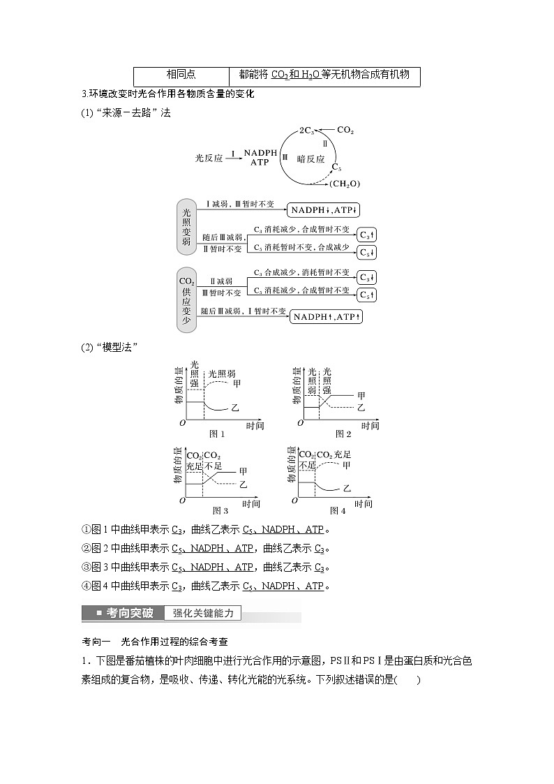高中生物高考2023年高考生物一轮复习（新人教新高考） 第3单元 第6课时　光合作用的原理 试卷03
