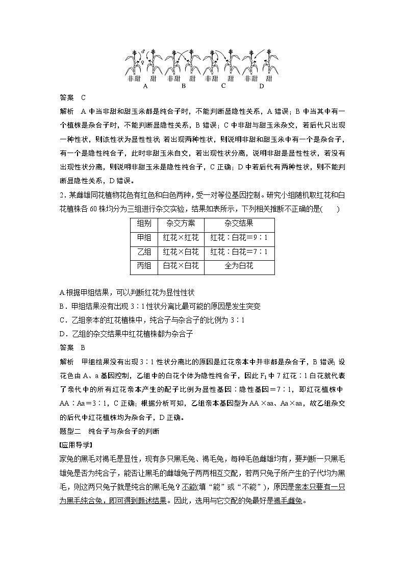 高中生物高考2023年高考生物一轮复习（新人教新高考） 第5单元 第2课时　基因分离定律重点题型突破第2页