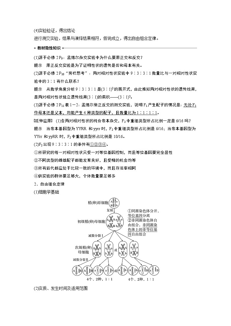 高中生物高考2023年高考生物一轮复习（新人教新高考） 第5单元 第3课时　自由组合定律的发现及应用第3页