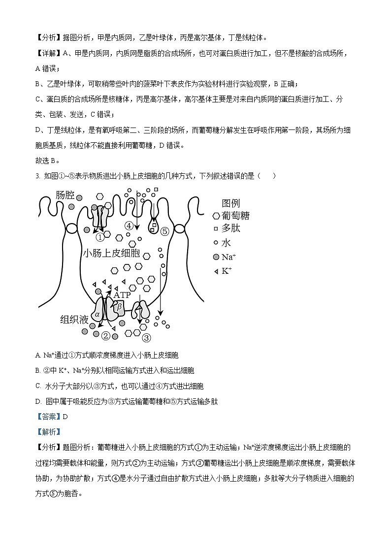 江苏省南通市2021-2022学年高二下学期期末质量检测生物试题含解析第2页