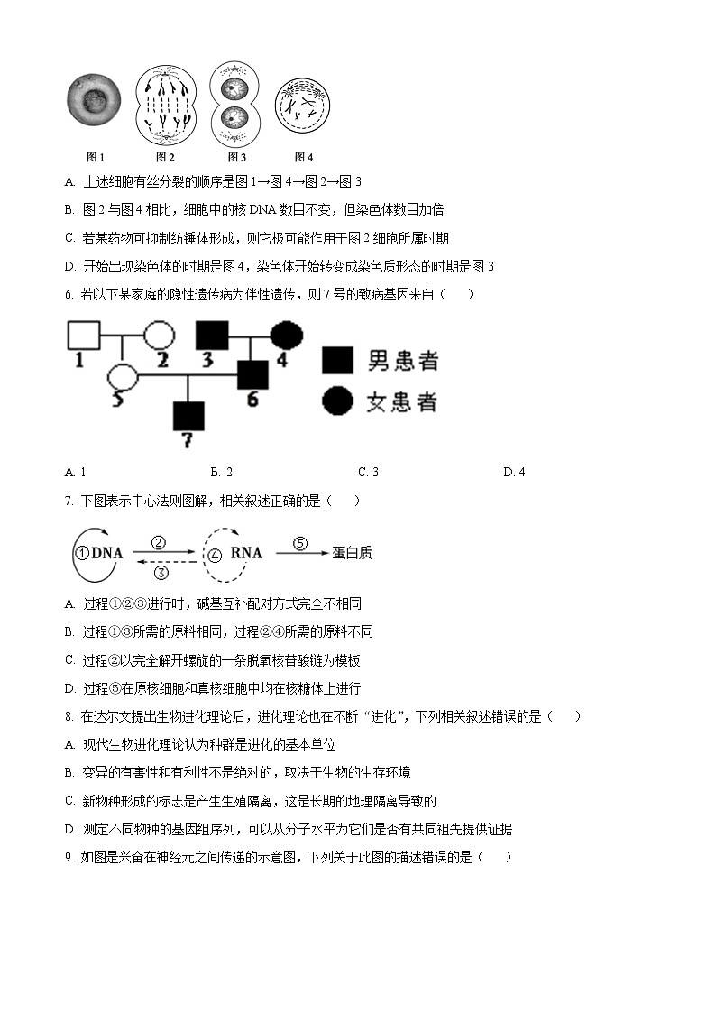 2022南京六校联合体高二下学期期末联考试题生物含解析02