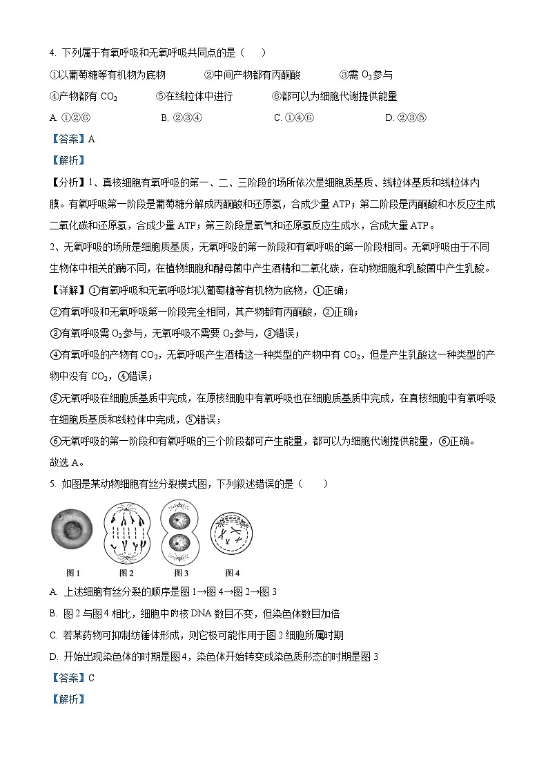 2022南京六校联合体高二下学期期末联考试题生物含解析03