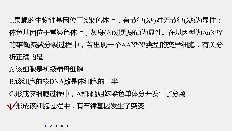 高中生物高考2022年高考生物一轮复习 第7单元 强化练13　生物变异类型的判断课件PPT第2页