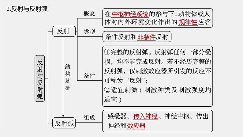 高中生物高考2022年高考生物一轮复习 第8单元 第24讲　通过神经系统的调节课件PPT07