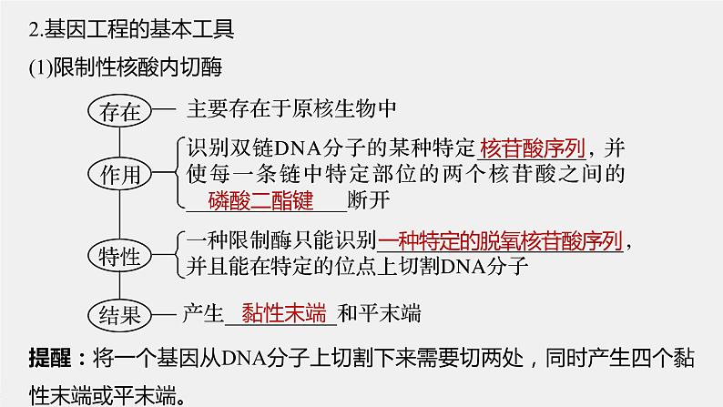 高中生物高考2022年高考生物一轮复习 第10单元 第33讲　基因工程课件PPT06