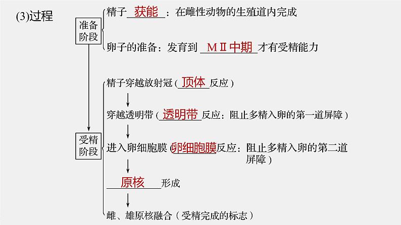 高中生物高考2022年高考生物一轮复习 第10单元 第35讲　胚胎工程与生物技术的安全性和伦理问题课件PPT08