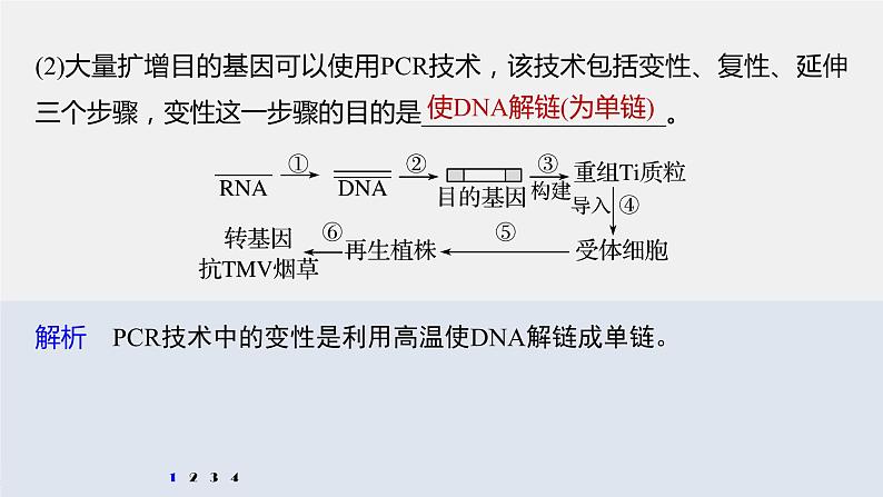 高中生物高考2022年高考生物一轮复习 第10单元 强化练22　基因工程的操作程序课件PPT第4页