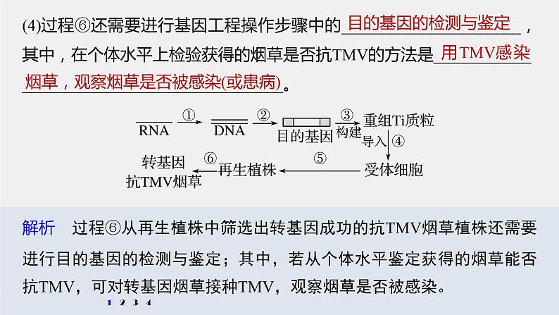 高中生物高考2022年高考生物一轮复习 第10单元 强化练22　基因工程的操作程序课件PPT第6页