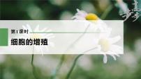 高中生物高考2023年高考生物一轮复习（新人教新高考） 第4单元 第1课时　细胞的增殖课件PPT