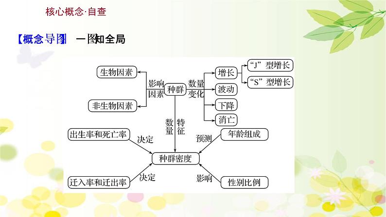 高中生物高考2022届新教材一轮复习人教版 第九单元 第1课 种群的特征和数量的变化 课件03