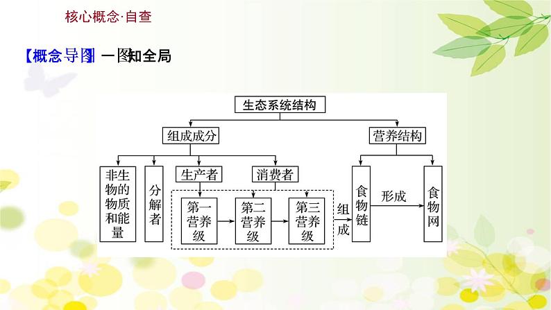 高中生物高考2022届新教材一轮复习人教版 第九单元 第3课 生态系统的结构 课件第3页