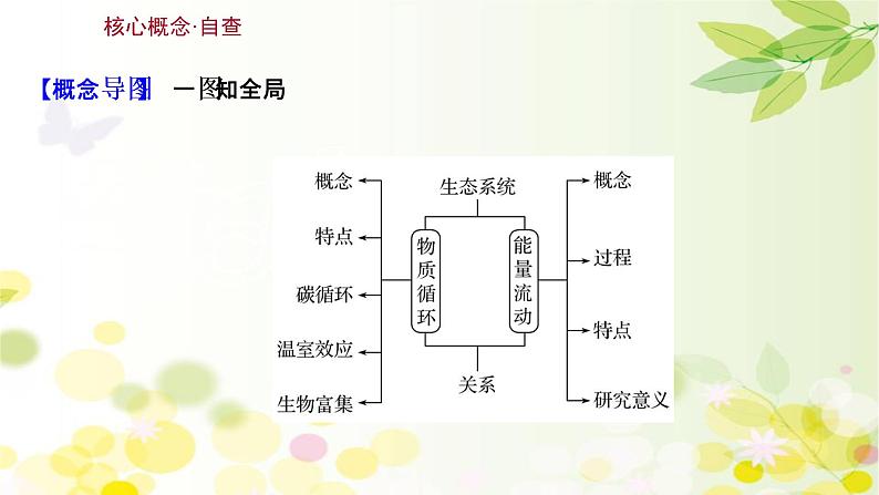 高中生物高考2022届新教材一轮复习人教版 第九单元 第4课 生态系统的能量流动和物质循环 课件第3页