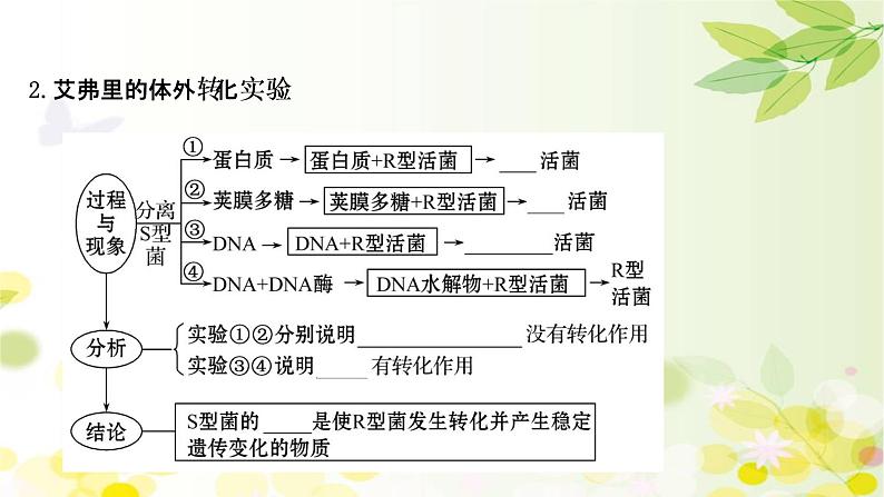 高中生物高考2022届新教材一轮复习人教版 第六单元 第1课 DNA是主要的遗传物质 课件第6页