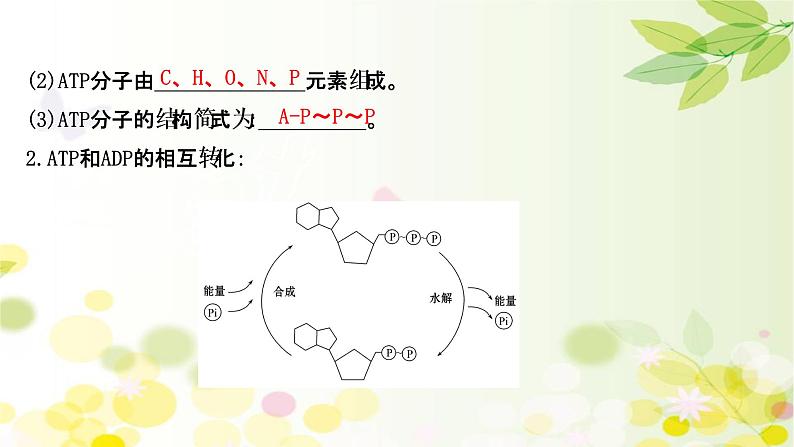 高中生物高考2022届新教材一轮复习人教版 第三单元 第1课 ATP和酶 课件第5页