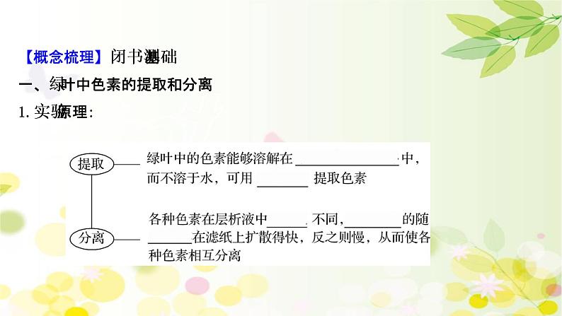 高中生物高考2022届新教材一轮复习人教版 第三单元 第3课 光合作用探究历程和基本过程 课件第4页