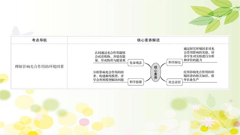 高中生物高考2022届新教材一轮复习人教版 第三单元 第4课 影响光合作用的因素及光合作用和细胞呼吸的关系 课件02