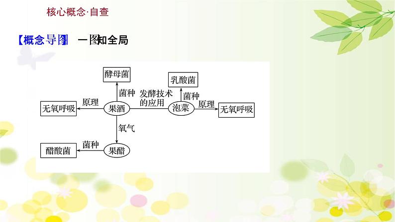 高中生物高考2022届新教材一轮复习人教版 第十单元 第1课 传统发酵技术的应用 课件第3页