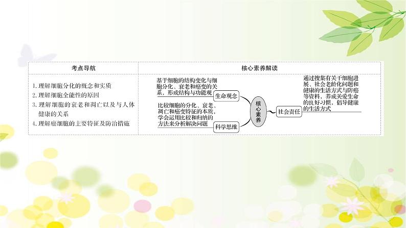 高中生物高考2022届新教材一轮复习人教版 第四单元 第3课 细胞的分化、衰老、凋亡和癌变 课件第2页