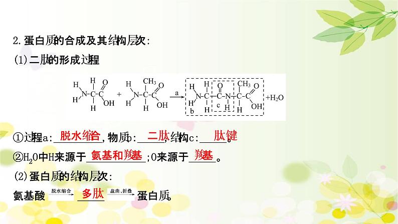 高中生物高考2022届新教材一轮复习人教版 第一单元 第3课 蛋白质和核酸 课件第5页