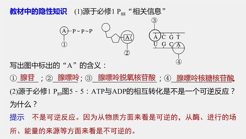 高中生物高考2022年高考生物一轮复习 第3单元 第8讲　ATP和细胞呼吸课件PPT08