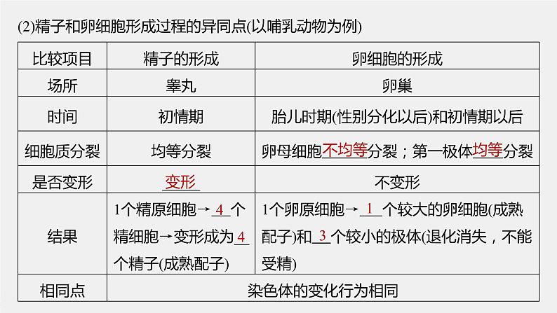 高中生物高考2022年高考生物一轮复习 第4单元 第12讲　减数分裂和受精作用课件PPT第7页