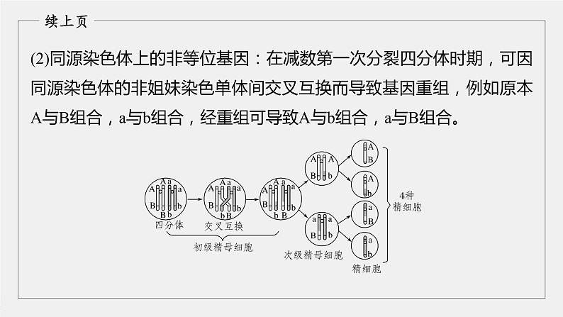 高中生物高考2022年高考生物一轮复习 第4单元 第12讲　热点题型二　减数分裂与可遗传变异的关系分析课件PPT第5页