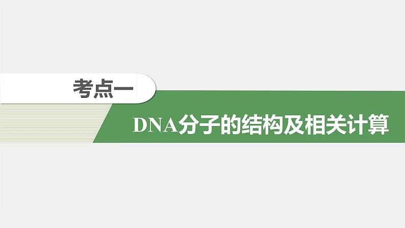 高中生物高考2022年高考生物一轮复习 第6单元 第18讲　DNA分子的结构、复制及基因的本质课件PPT第4页