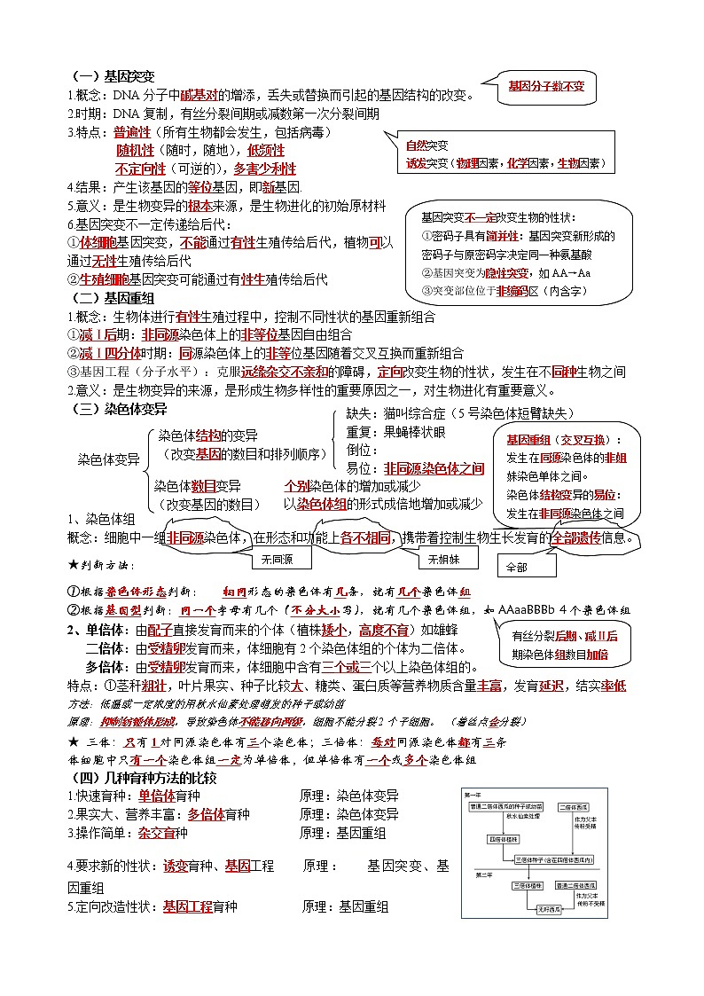 高中生物高考2021年高考二轮生物复习知识清单：09基因表达和变异02