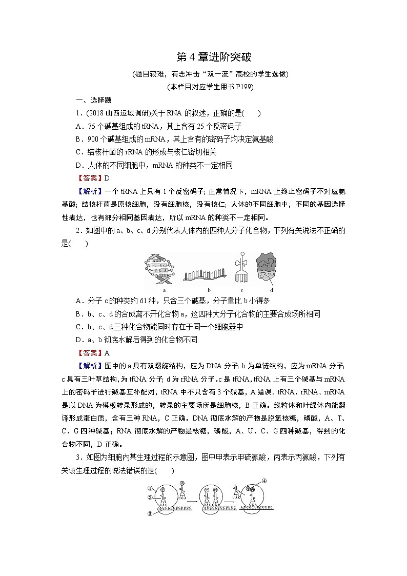 第4章进阶突破 试卷01